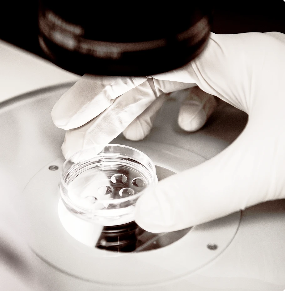 CELLPARK cell potential and research